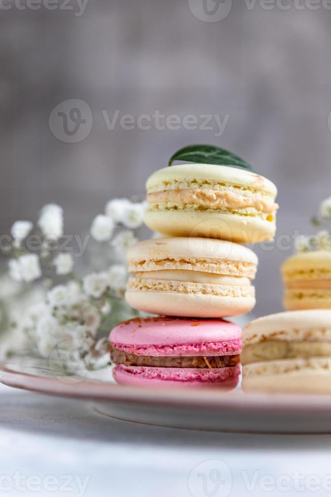 macaron o amaretto con gypsophila fiori su grigio sfondo. pastello colori francese dolce con fresco fiori. foto