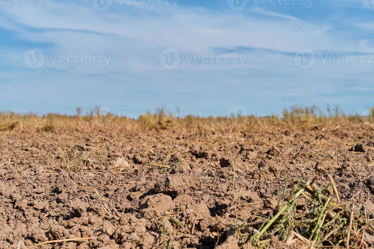 arato terra, preparazione per pre-semina opera nel il agricolo stagione su il terra. avvicinamento, spazio per testo foto