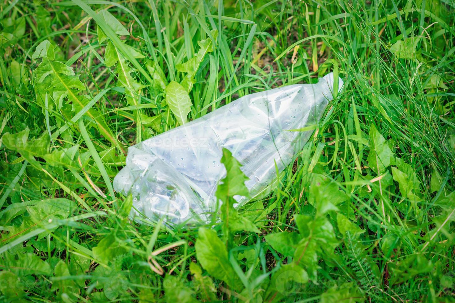 spiegazzato plastica bottiglia dire bugie nel verde erba foto