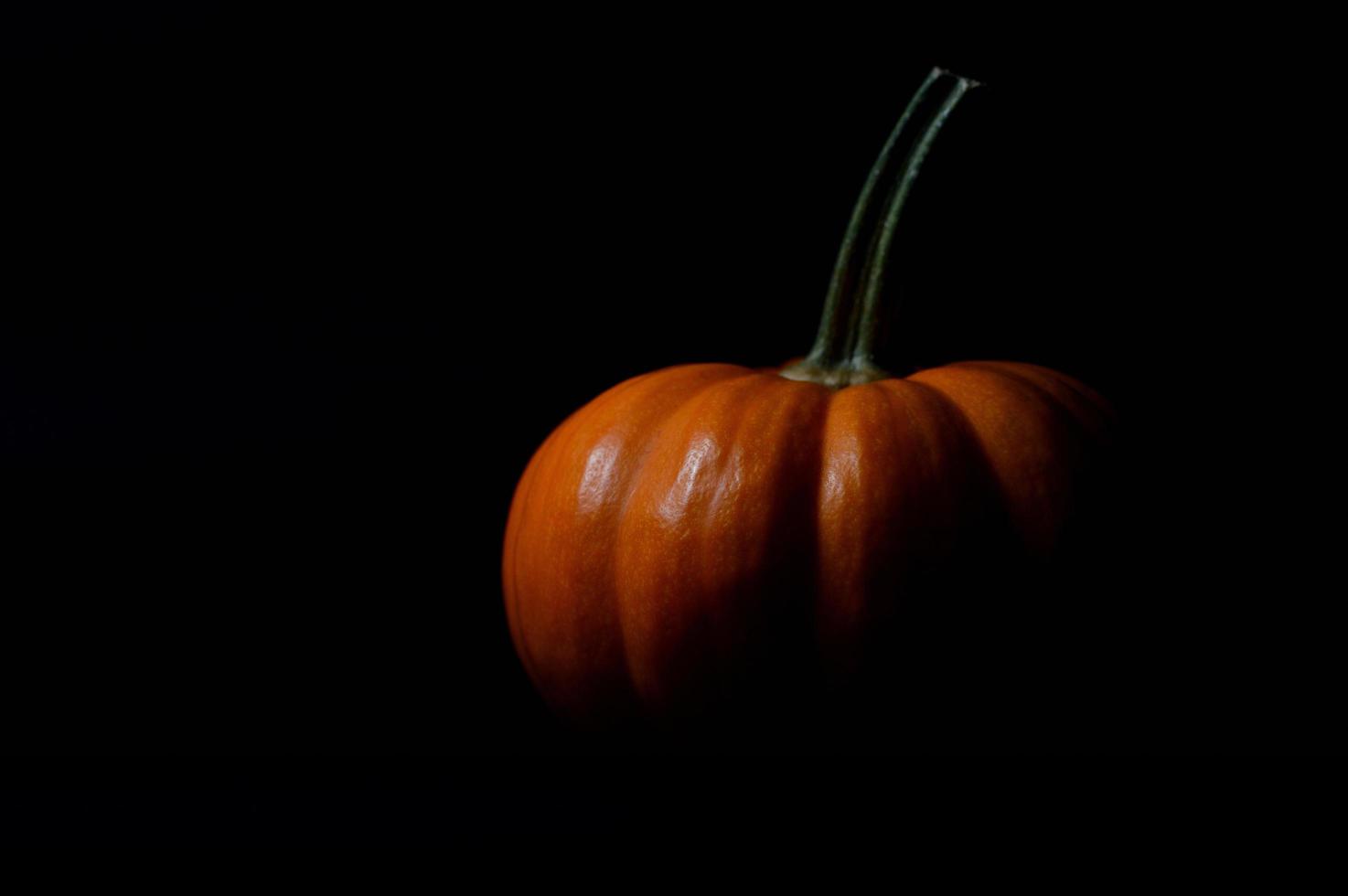 arancia zucca su buio sfondo foto