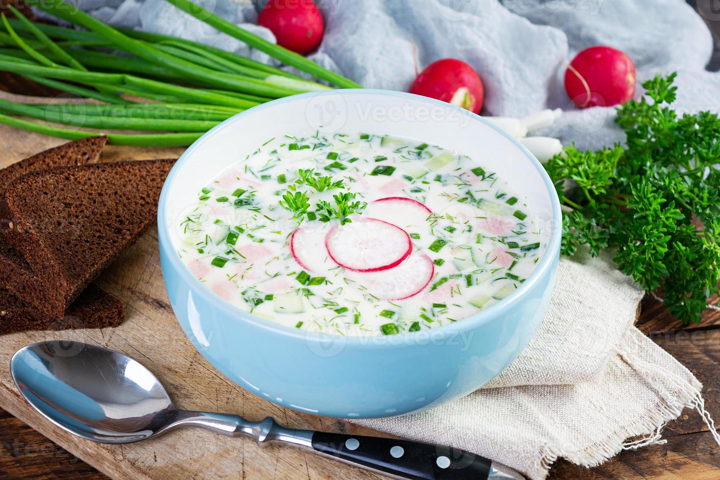 estate freddo la minestra con Yogurt e verdure. tradizionale russo freddo la minestra okroshka foto