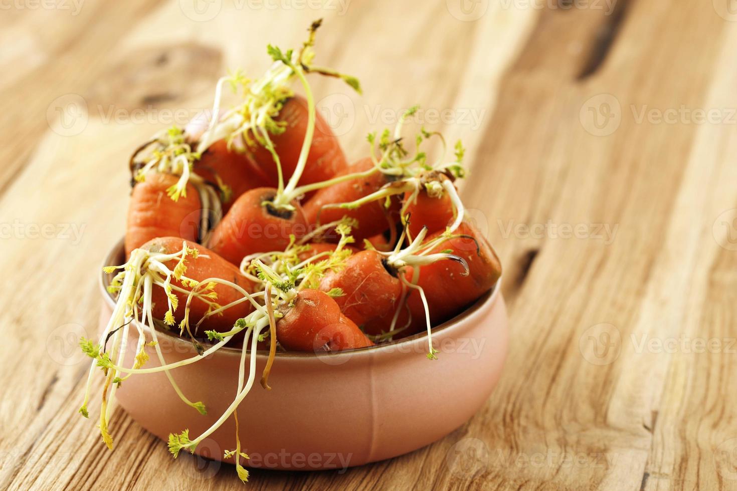 un' ciotola di marcio carota, non fresco bambino carota foto