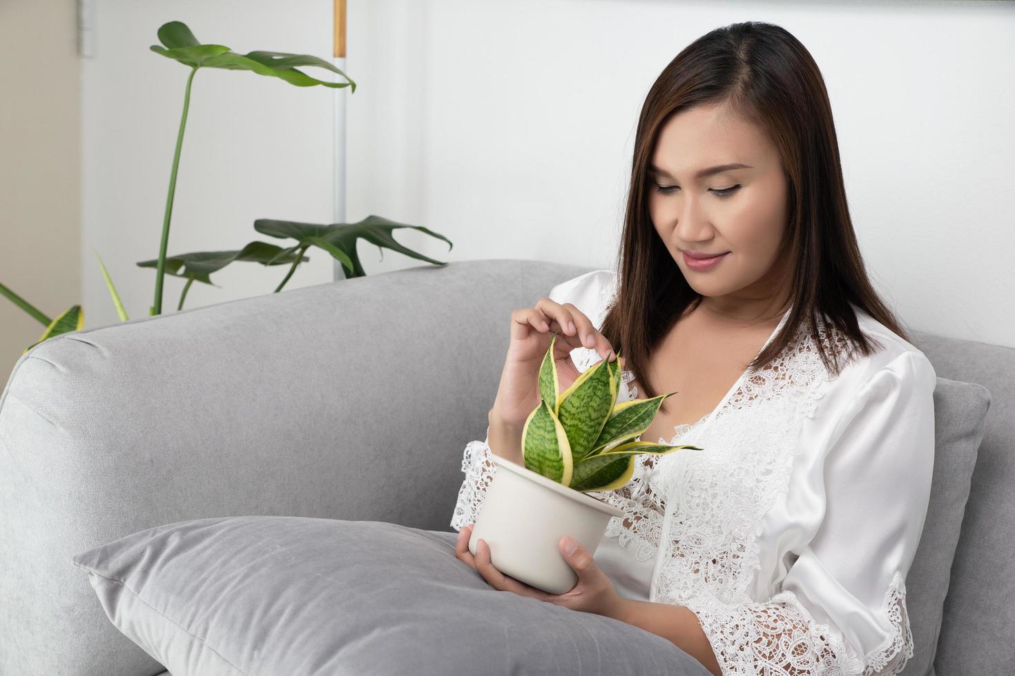 asiatico donne nel pizzo bianca indumenti da notte e seta Vestiti hold aria purificazione impianti seduta su il grigio divano nel il Camera da letto a notte. sansevieria trifasciata pranzare o serpente pianta foto