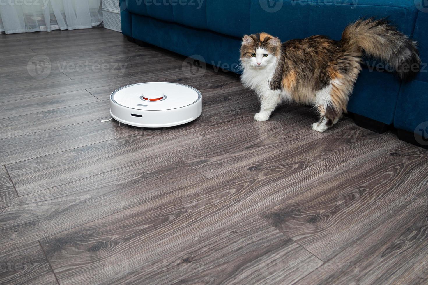 un' bianca vuoto addetto alle pulizie robot e un' soffice gatto su un' laminato di legno pavimento. foto