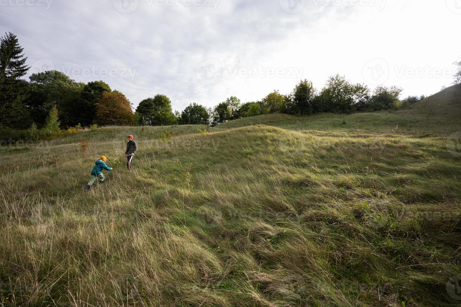 fratelli avendo divertimento correre e saltare all'aperto vicino foresta. foto