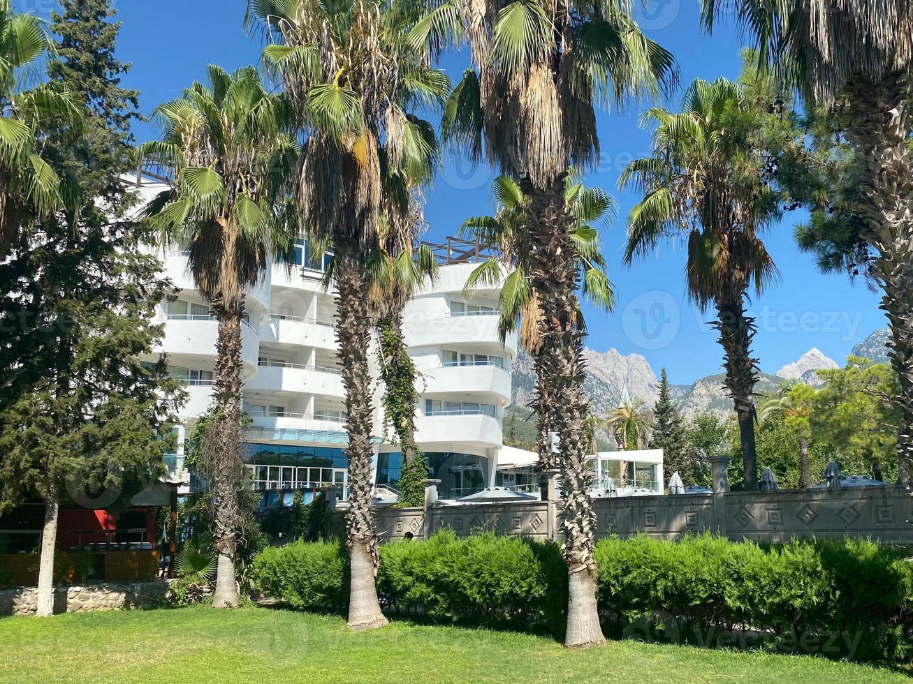 bianca Sud spiaggia condominio con palma alberi foto