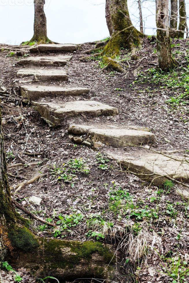 pietra passaggi a partire dal burrone nel primavera foto