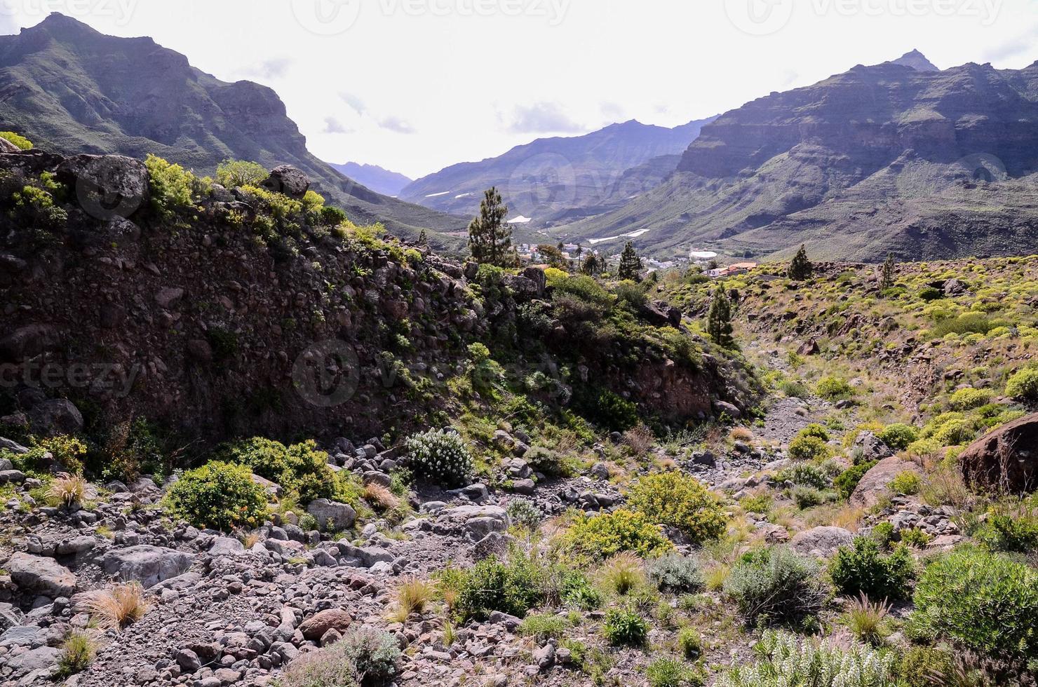 roccioso paesaggio su il canarino isole foto