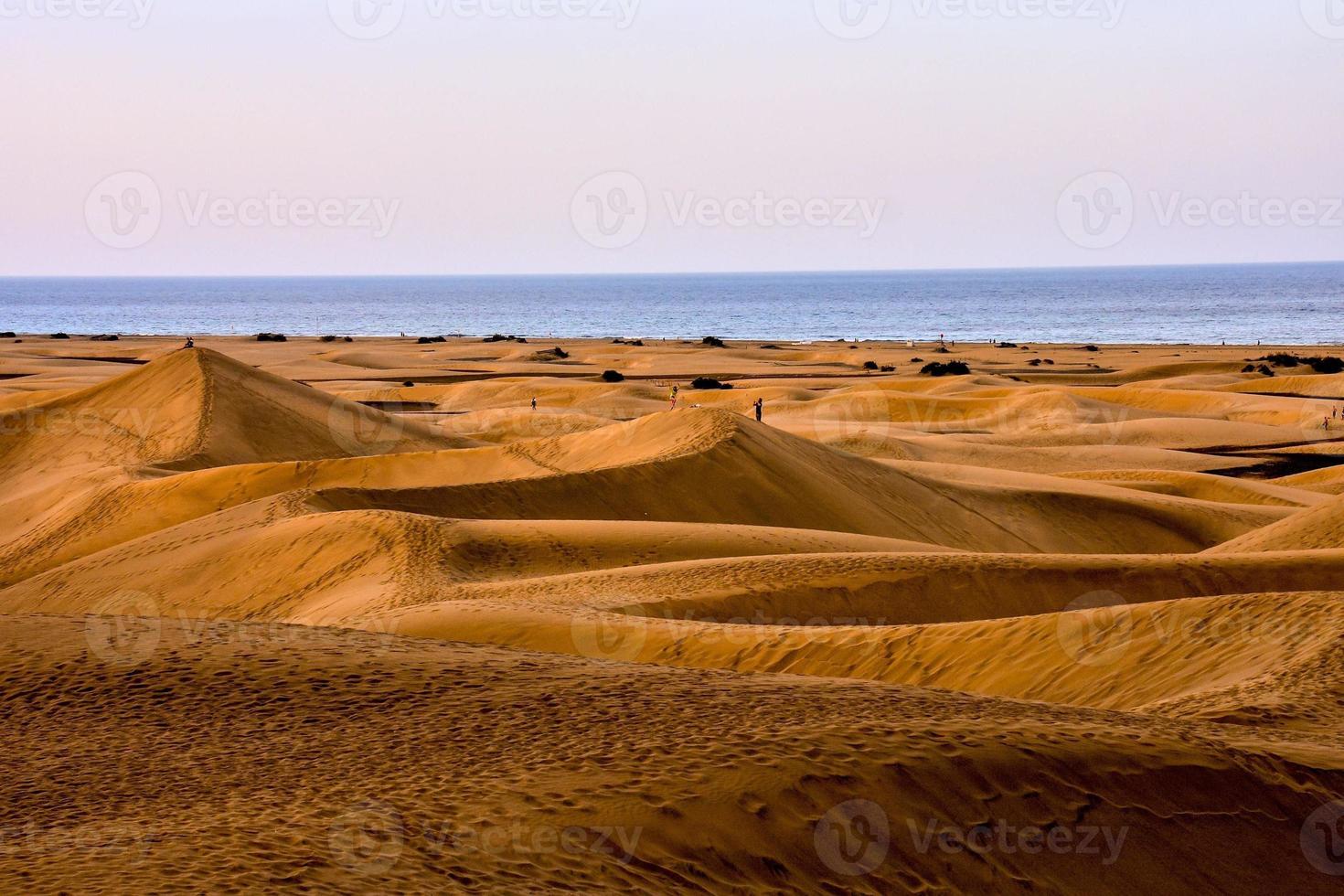 sabbia dune Visualizza foto