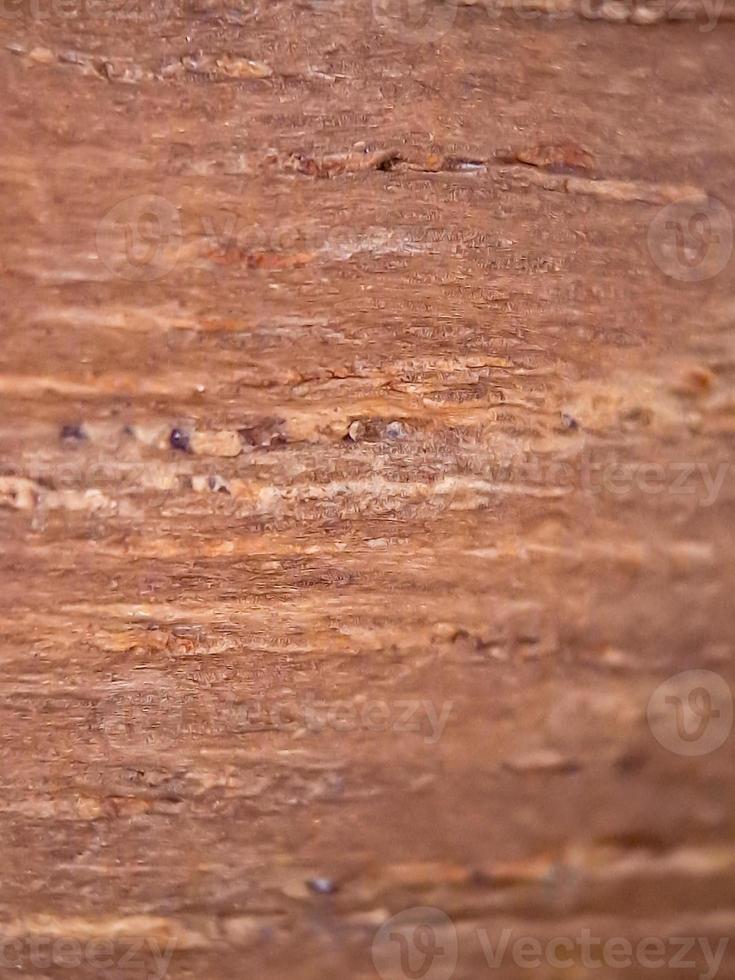 Marrone legna struttura macro, adatto per sfondo sfondo. foto