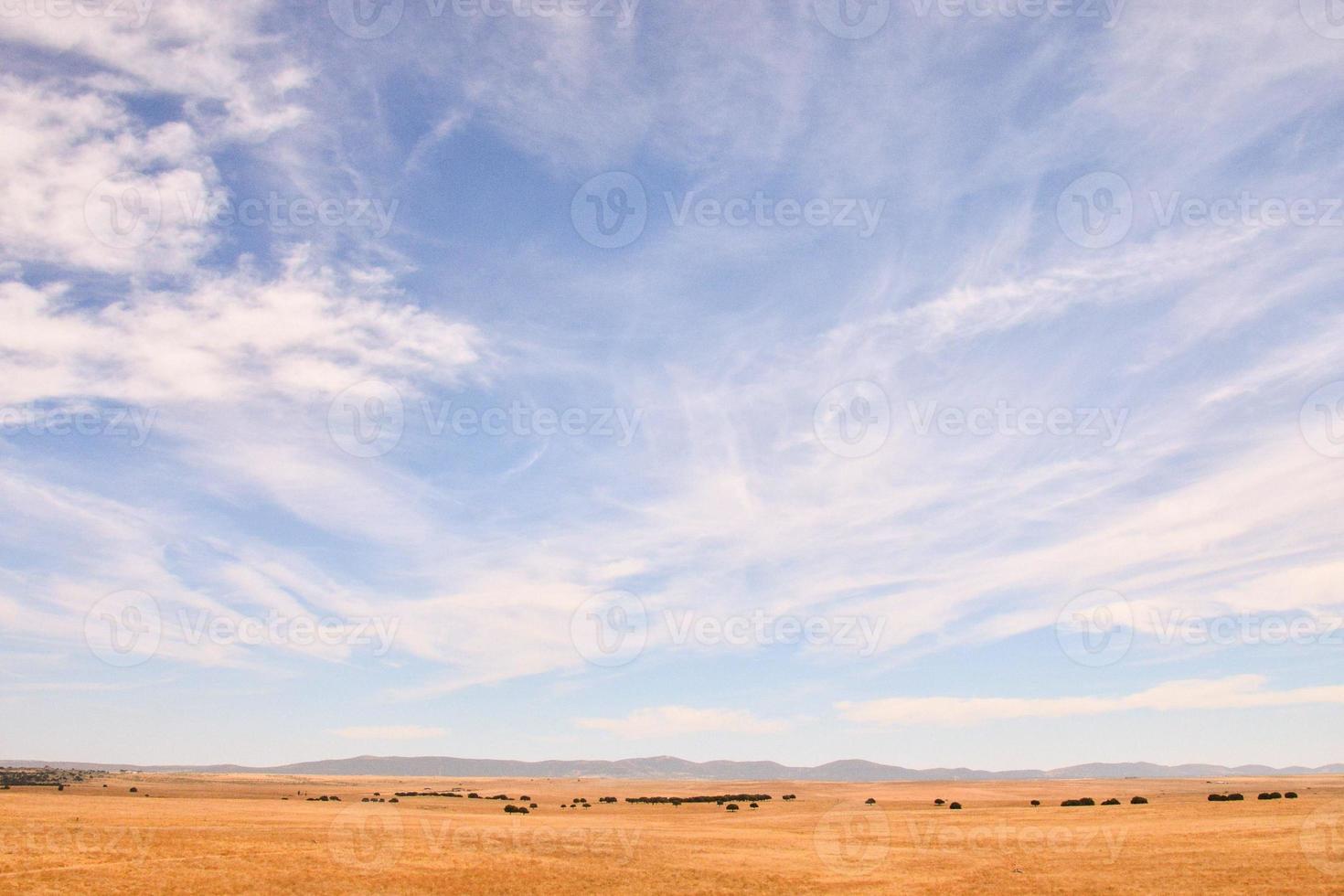 vista del paesaggio del deserto foto