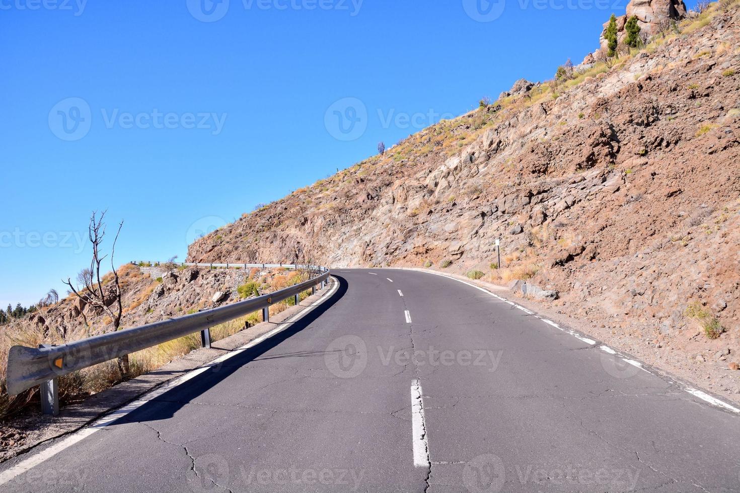 strada con vegetazione Visualizza foto