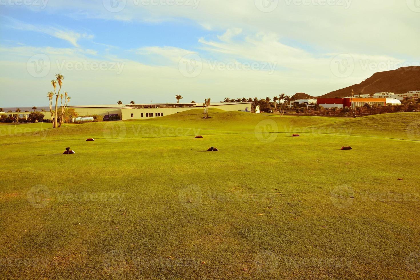 campo erboso verde foto