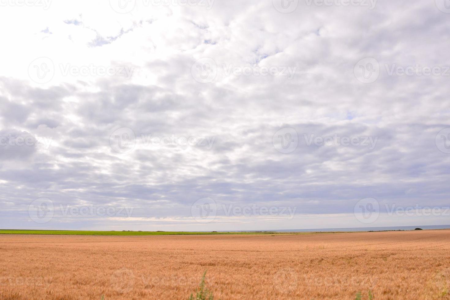 sabbia dune Visualizza foto