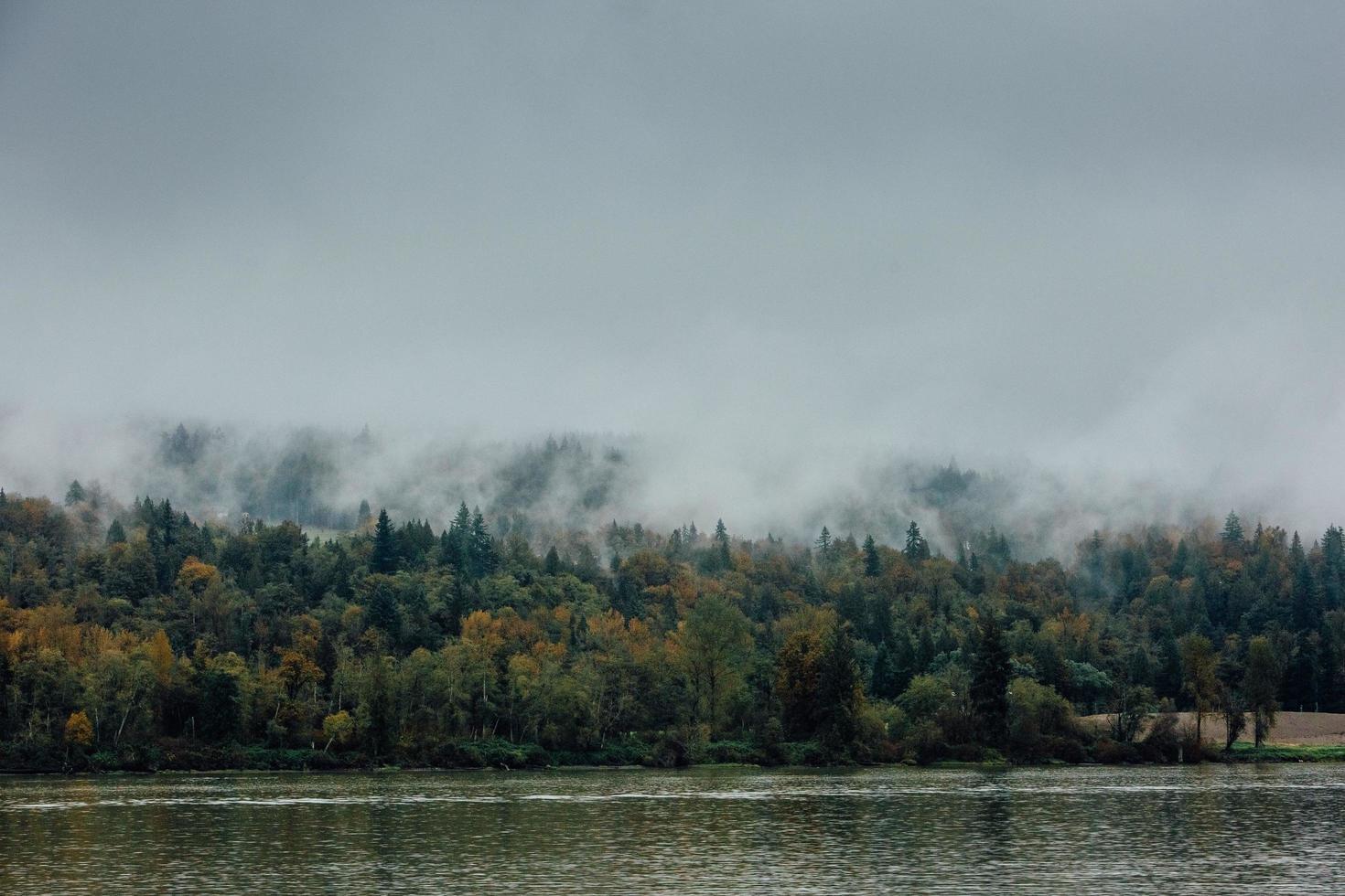 alberi verdi vicino allo specchio d'acqua foto