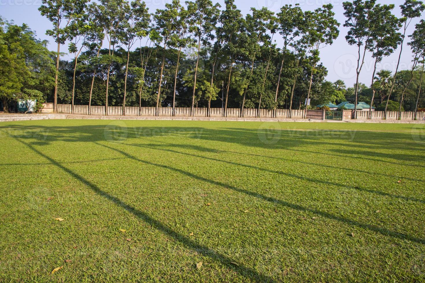 verde campo con alberi nel il parco paesaggio Visualizza foto