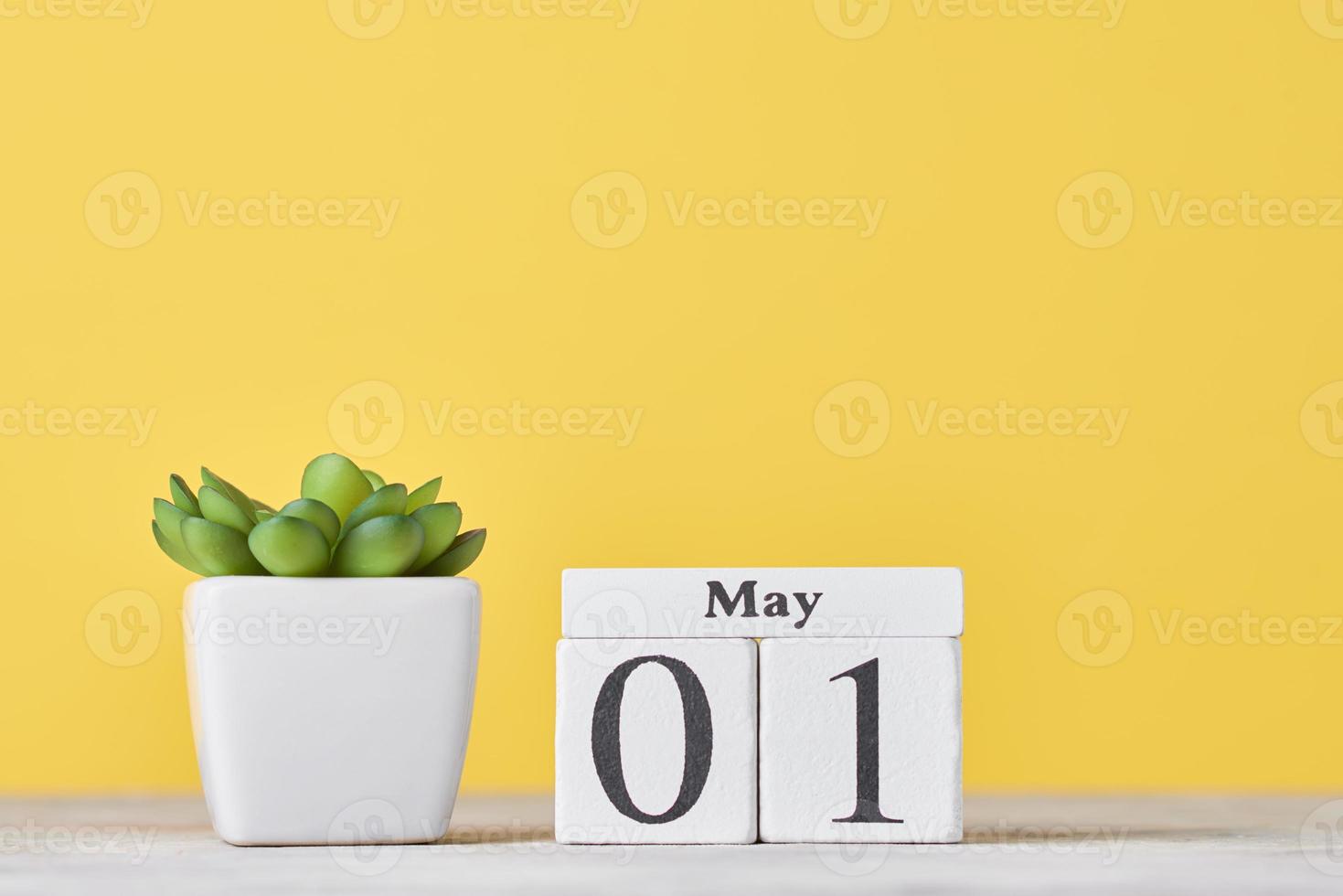 di legno bloccare calendario con Data Maggio 1 e succulento pianta su giallo sfondo foto