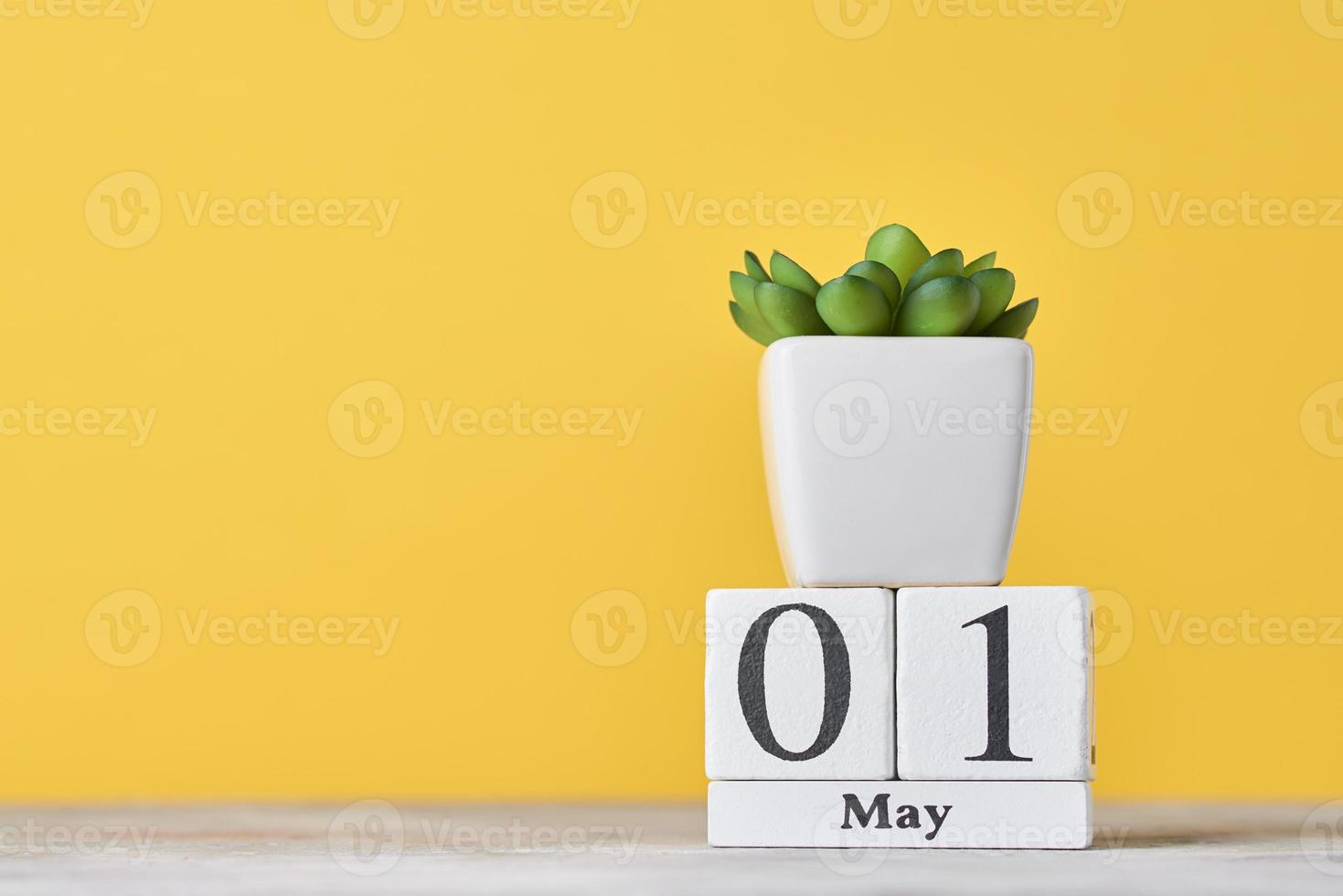 di legno bloccare calendario con Data Maggio 1 e succulento pianta su giallo sfondo foto