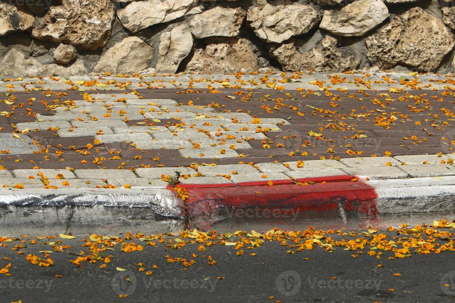 marciapiede lungo il strada per pedone traffico. foto