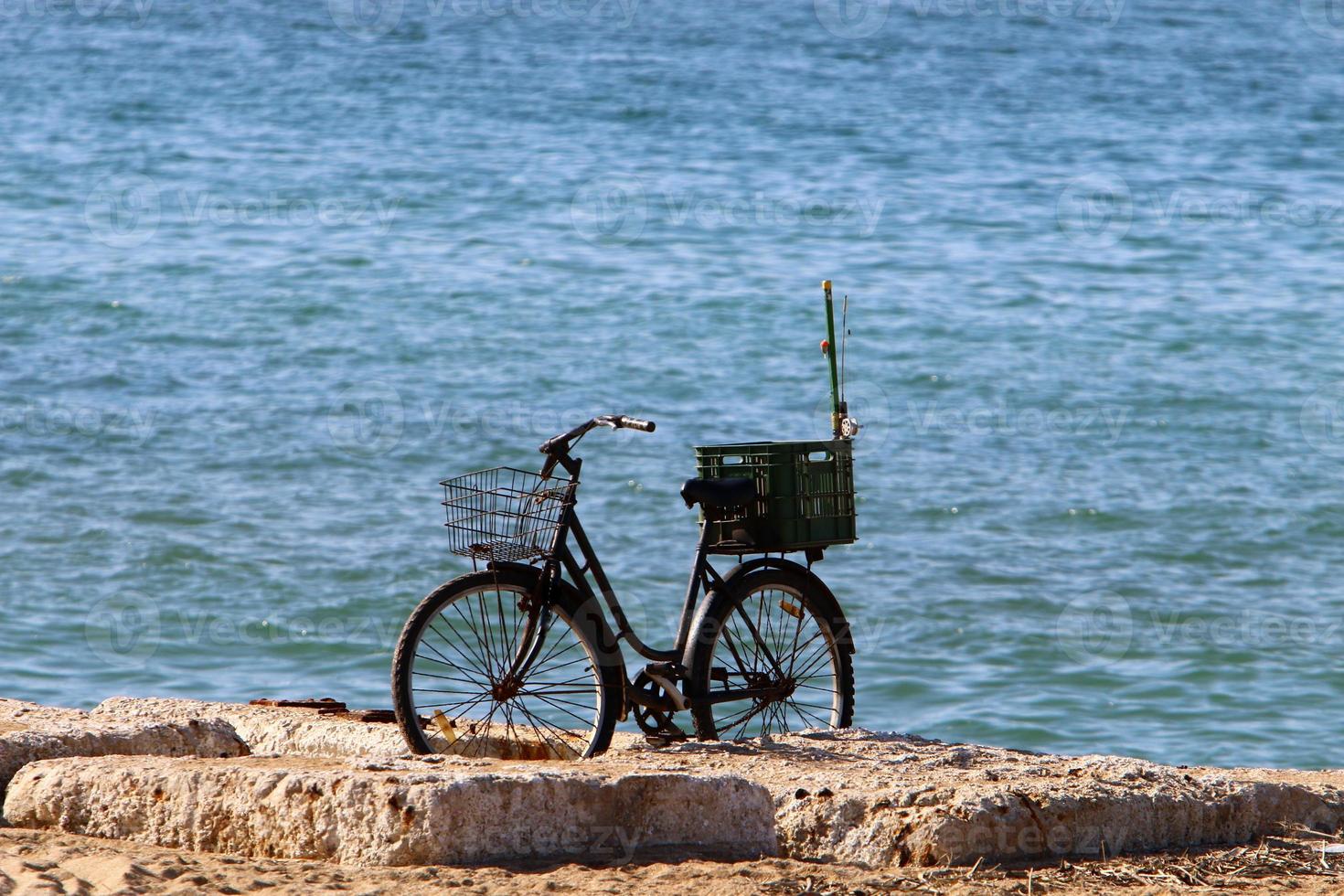 bicicletta nel il città parco vicino il mare. foto