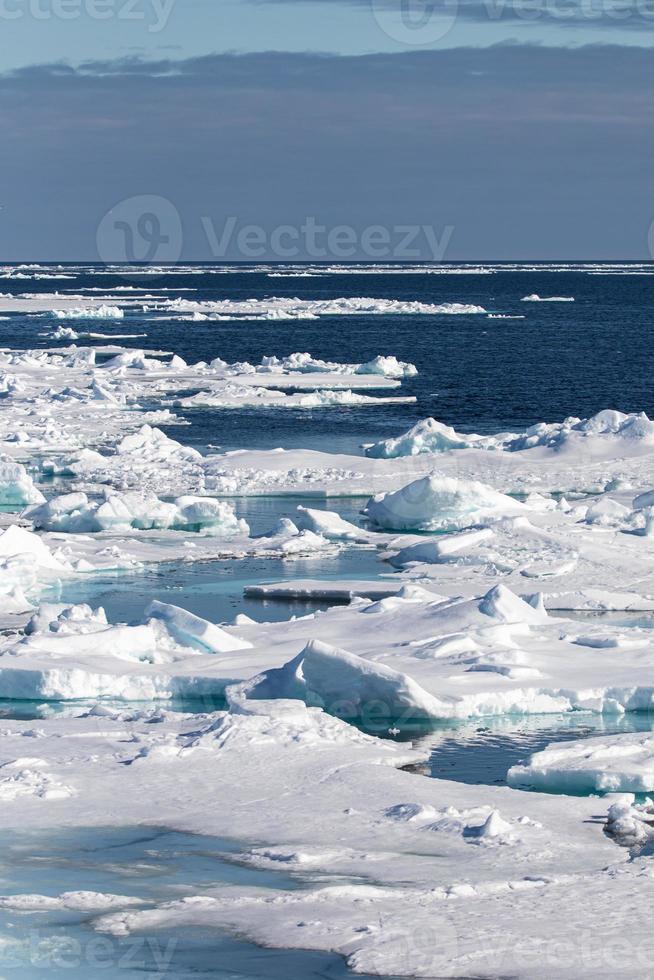 mare ghiaccio nel il artico foto