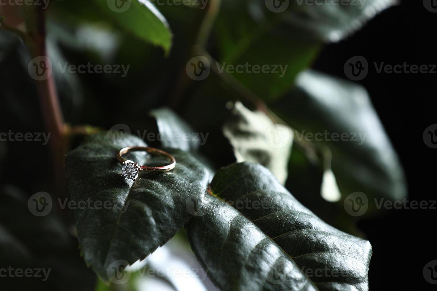 lusso Fidanzamento diamante squillare nel gioielleria. nozze oro squillare con diamante bugie su un' foglia a partire dal un' rosa. uno anelli menzogna su il le foglie di un' succulento foto