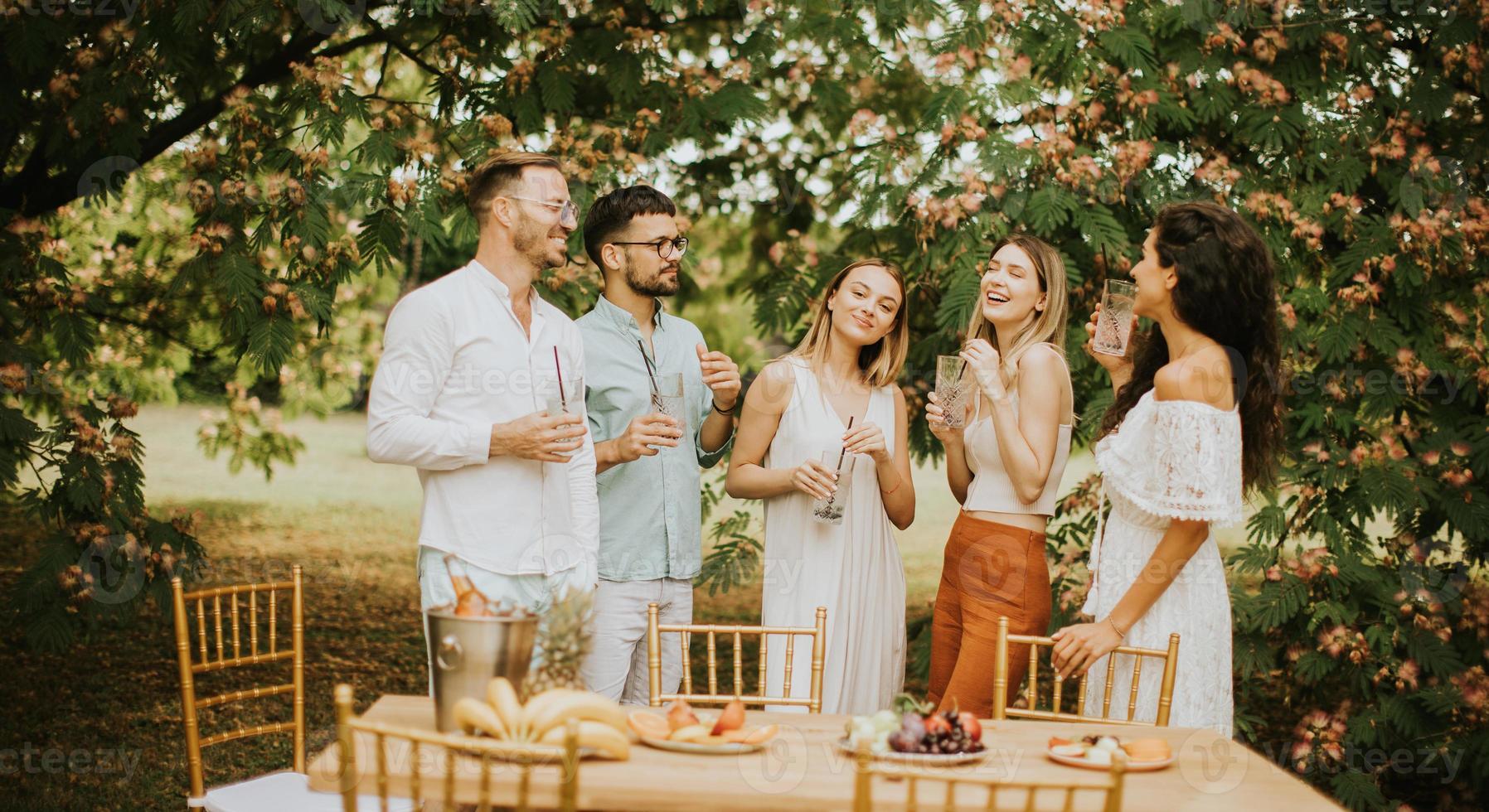 gruppo di contento giovane persone applauso con fresco limonata e mangiare frutta nel il giardino foto