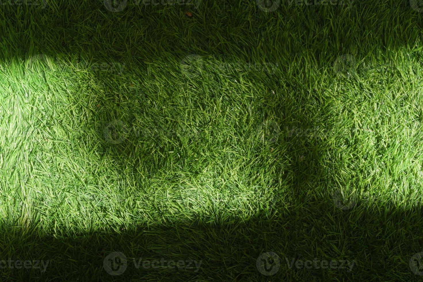 verde erba campo adatto per sfondo e sfondo. foto
