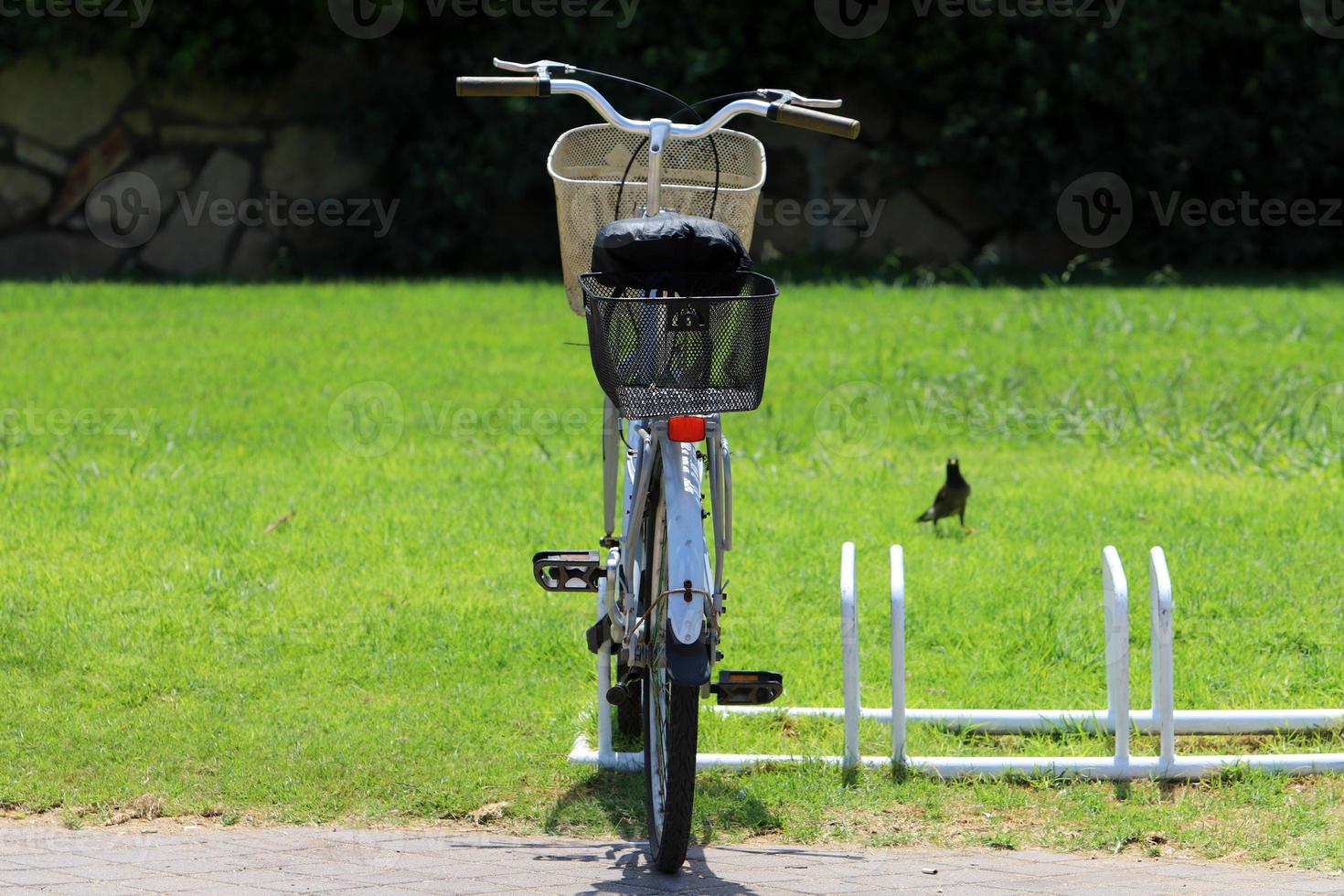 bicicletta nel il città parco vicino il mare. foto