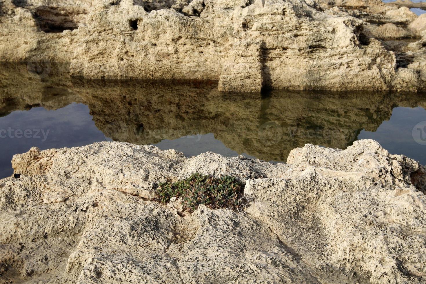 costa del Mar Mediterraneo nel nord di Israele. foto