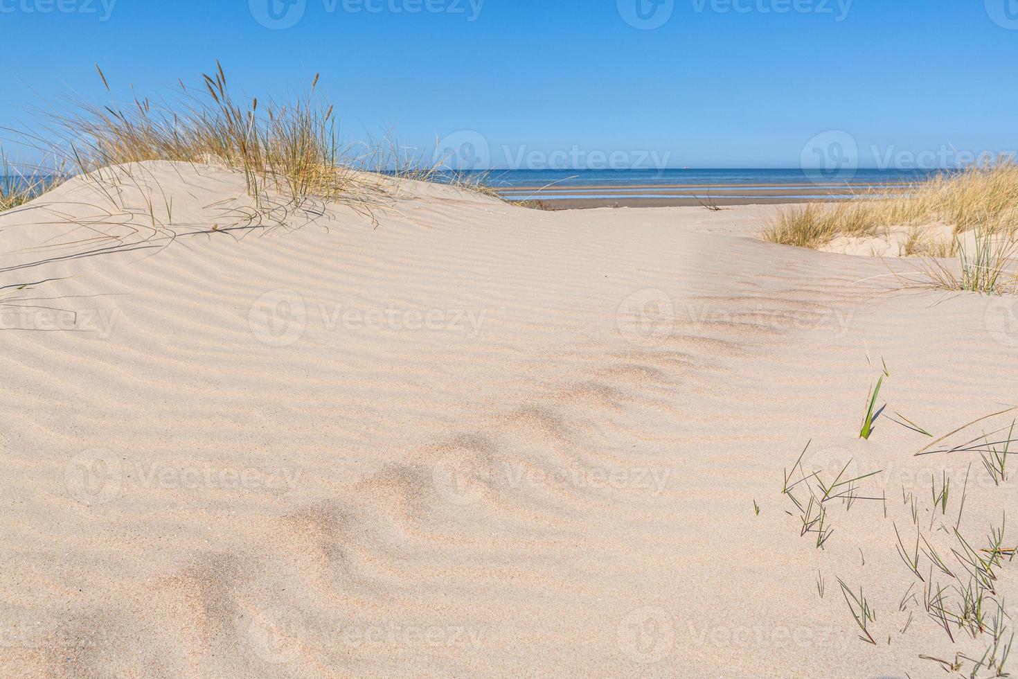 modelli nel il spiaggia sabbia foto