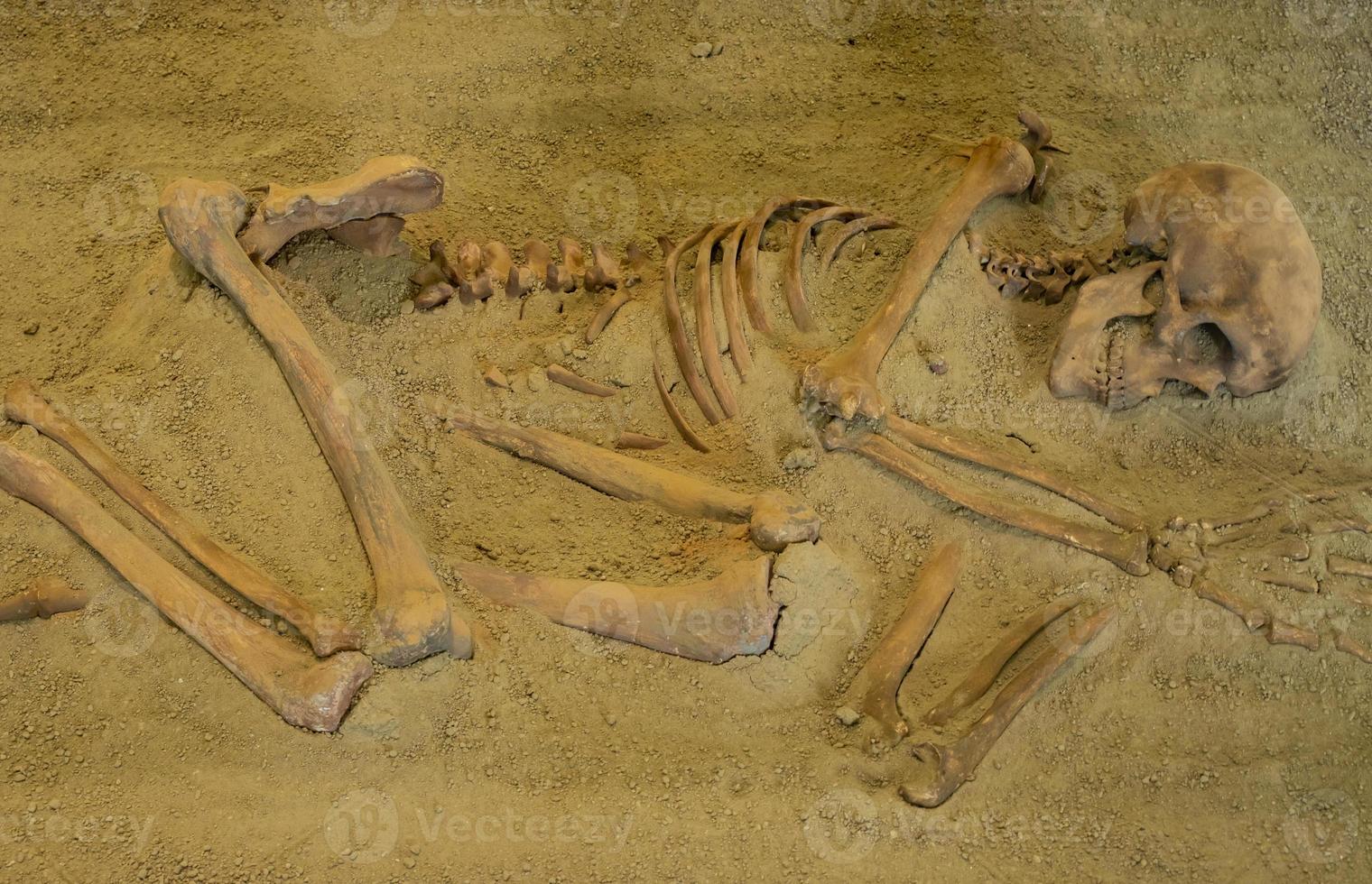 boljetin, Serbia, 2021 - scheletrico resti a partire dal Museo di lepenski vir nel Serbia. lepenski vir è il il più antico pianificato insediamento nel Europa. foto