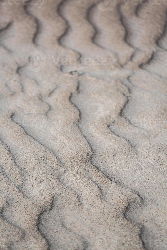 modelli nel il spiaggia sabbia foto