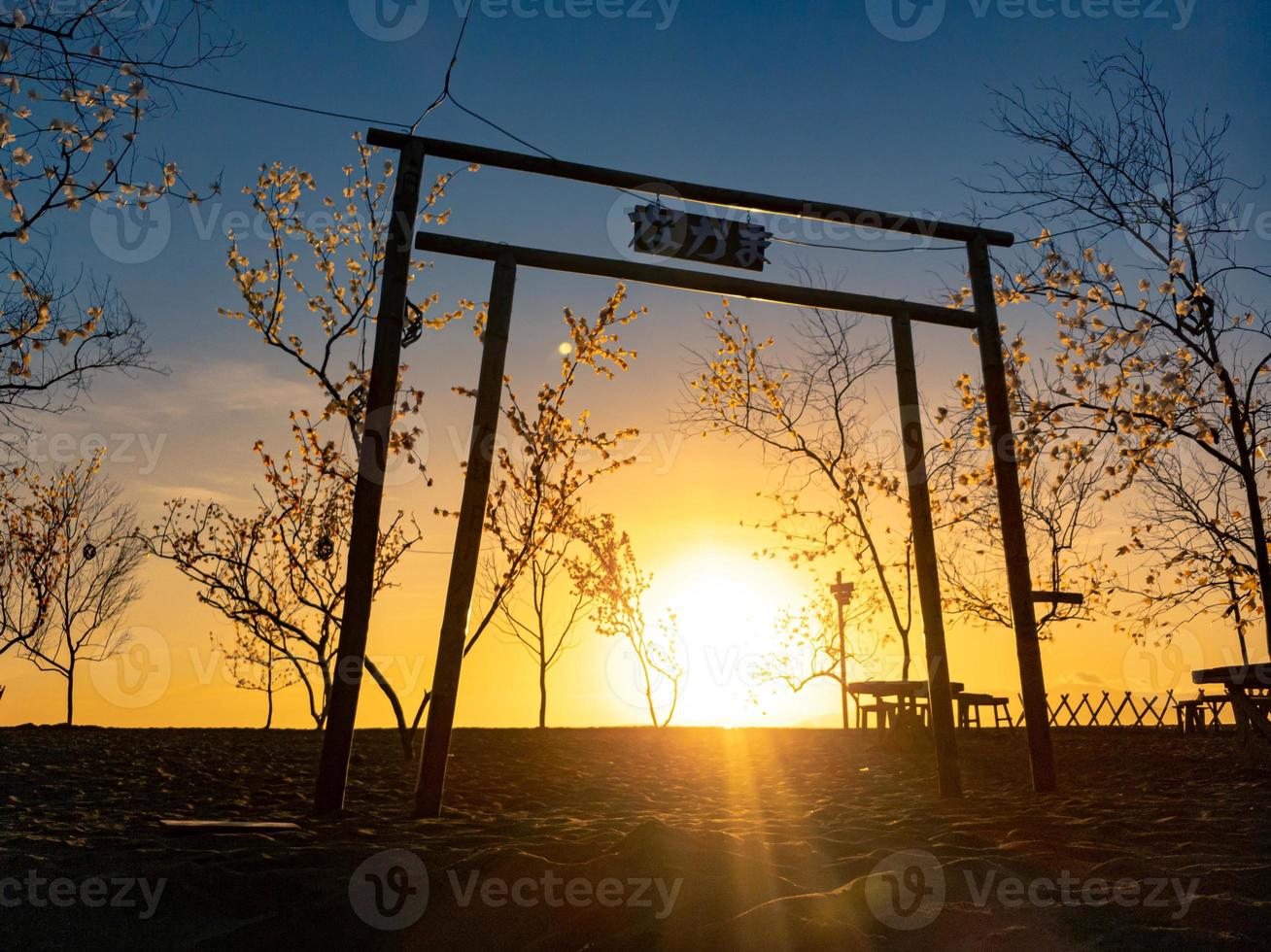 albero silhouette con Alba nel il mattina foto