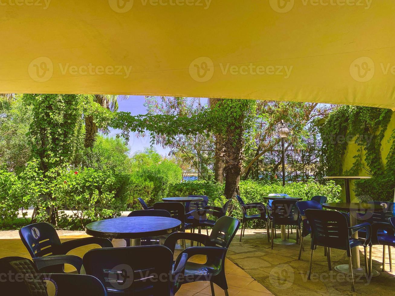 di legno al di fuori all'aperto seduta ristorante vuoto la zona con picnic tavoli sedie panchina nel terrazza terrazza giardino con verde impianti nel Florida con fiore mazzo e condimenti. foto