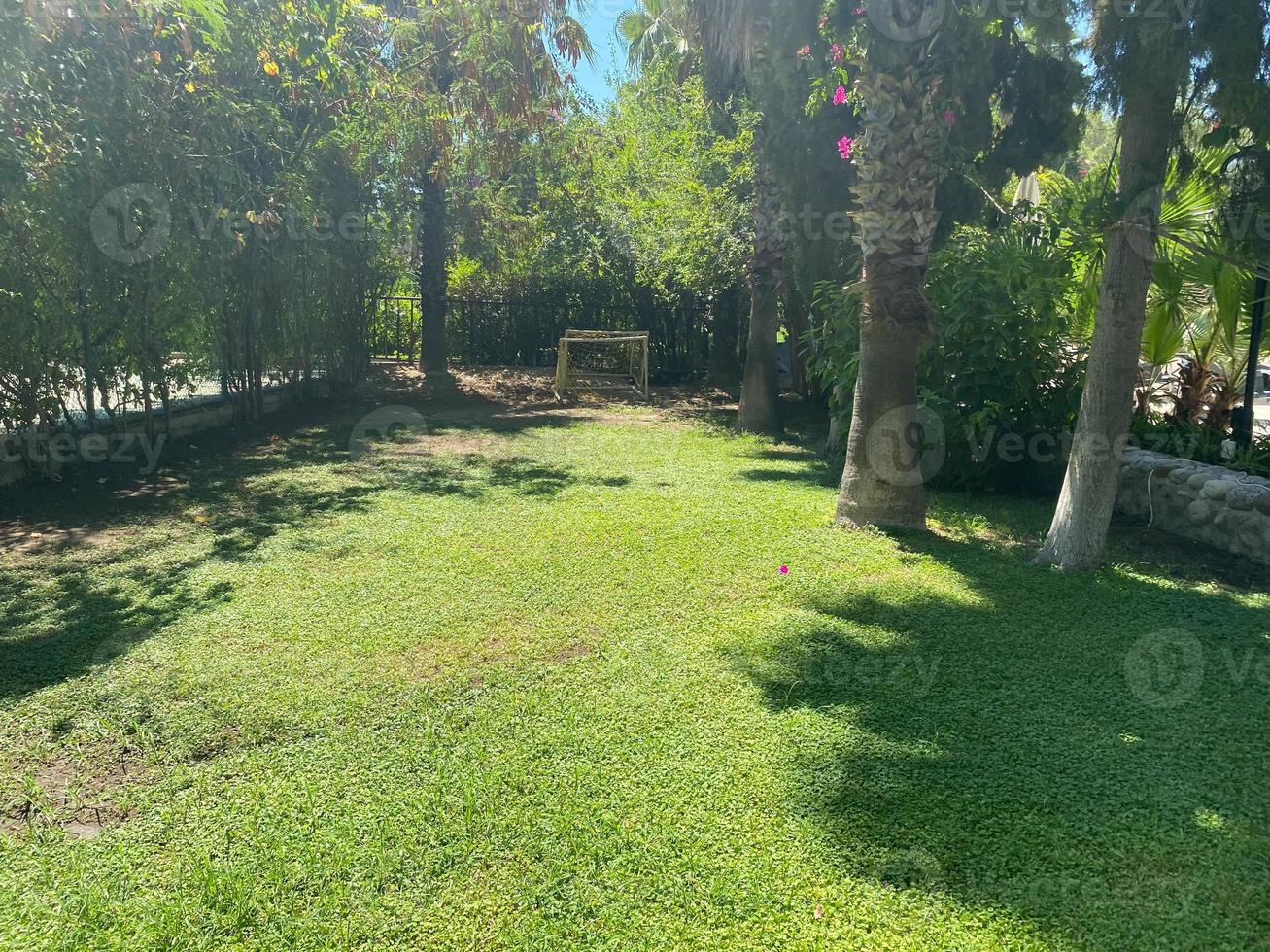fresco verde manila erba cortile, liscio prato nel un' bellissimo botanico palma alberi giardino e bene cura paesaggi nel il pubblico parco sotto nuvoloso cielo foto
