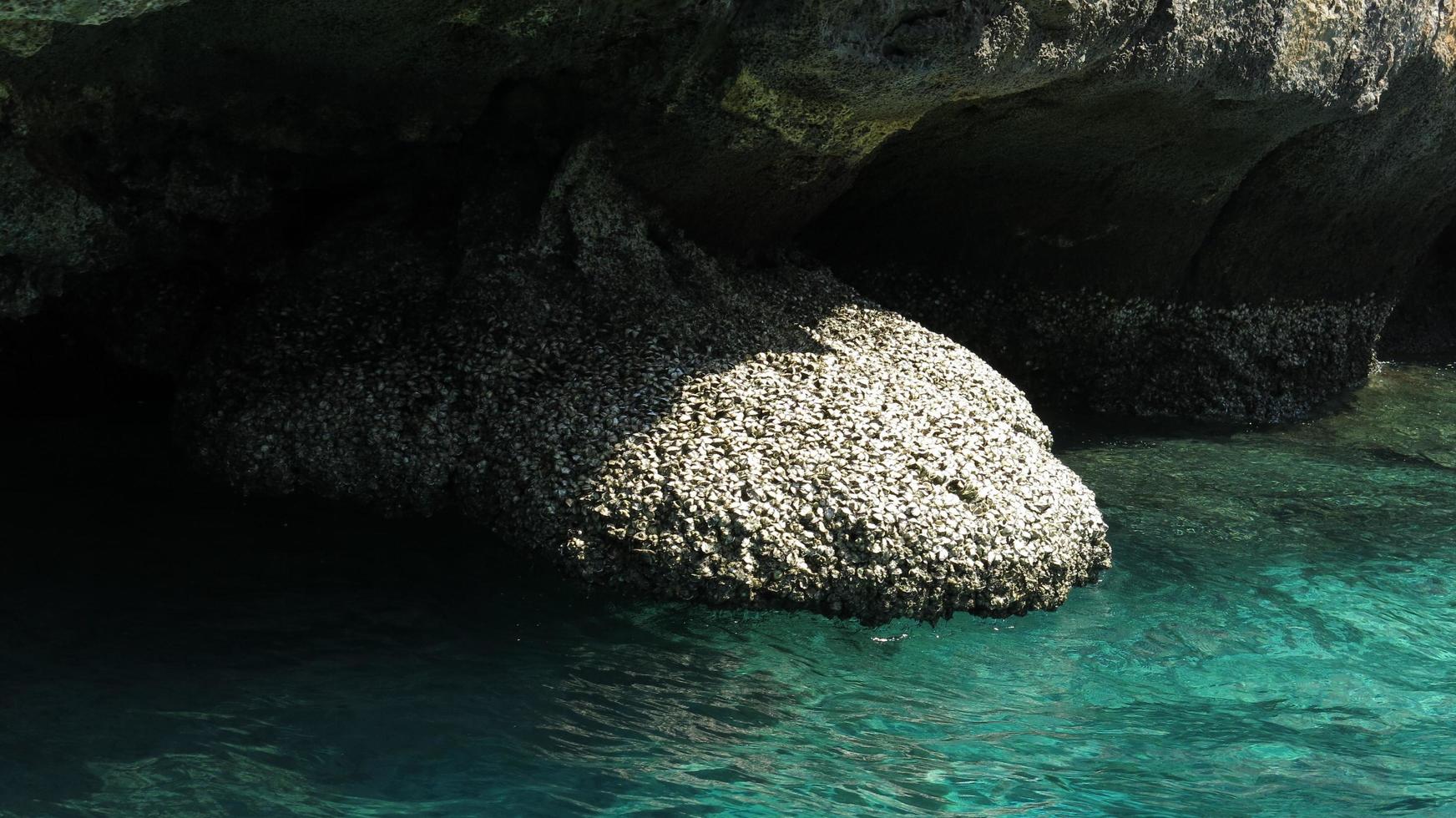 blu oceano e il bellissimo spiaggia foto