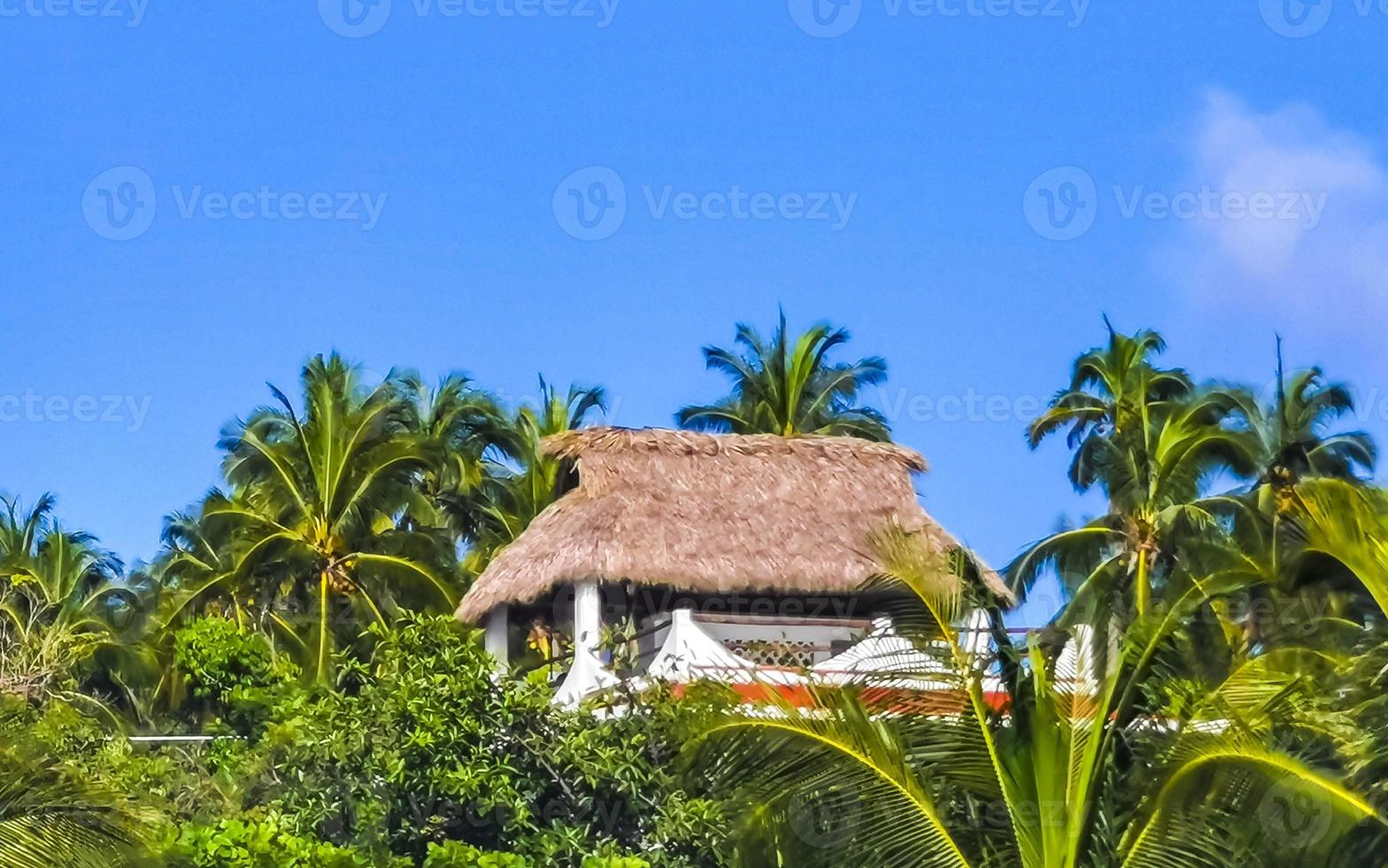 alberghi resort edifici nel Paradiso tra palma alberi puerto escondido. foto