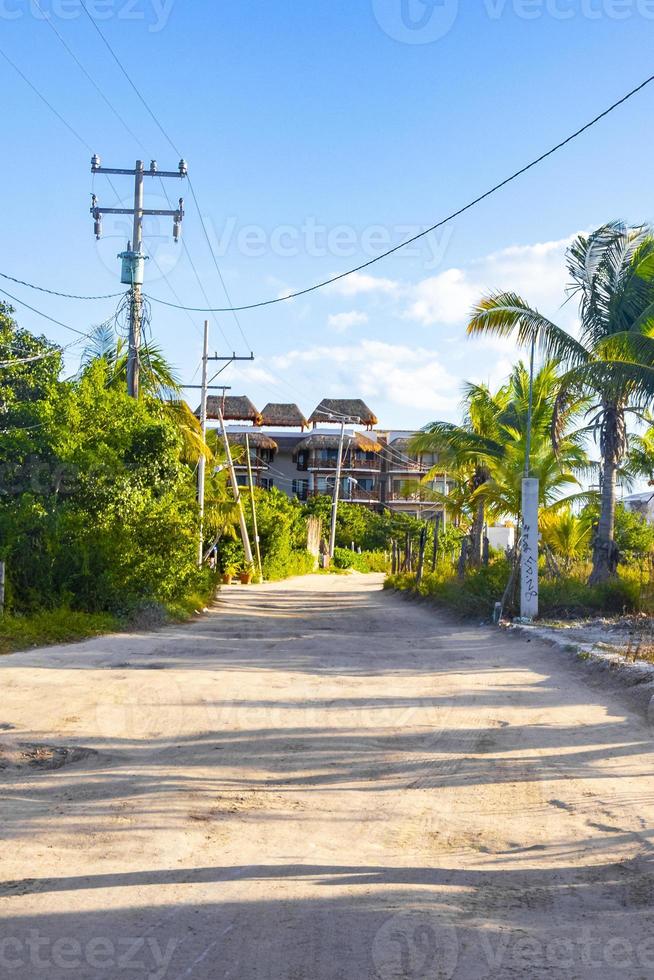 sentiero a piedi su strada fangosa sabbiosa e paesaggio naturale holbox mexico. foto