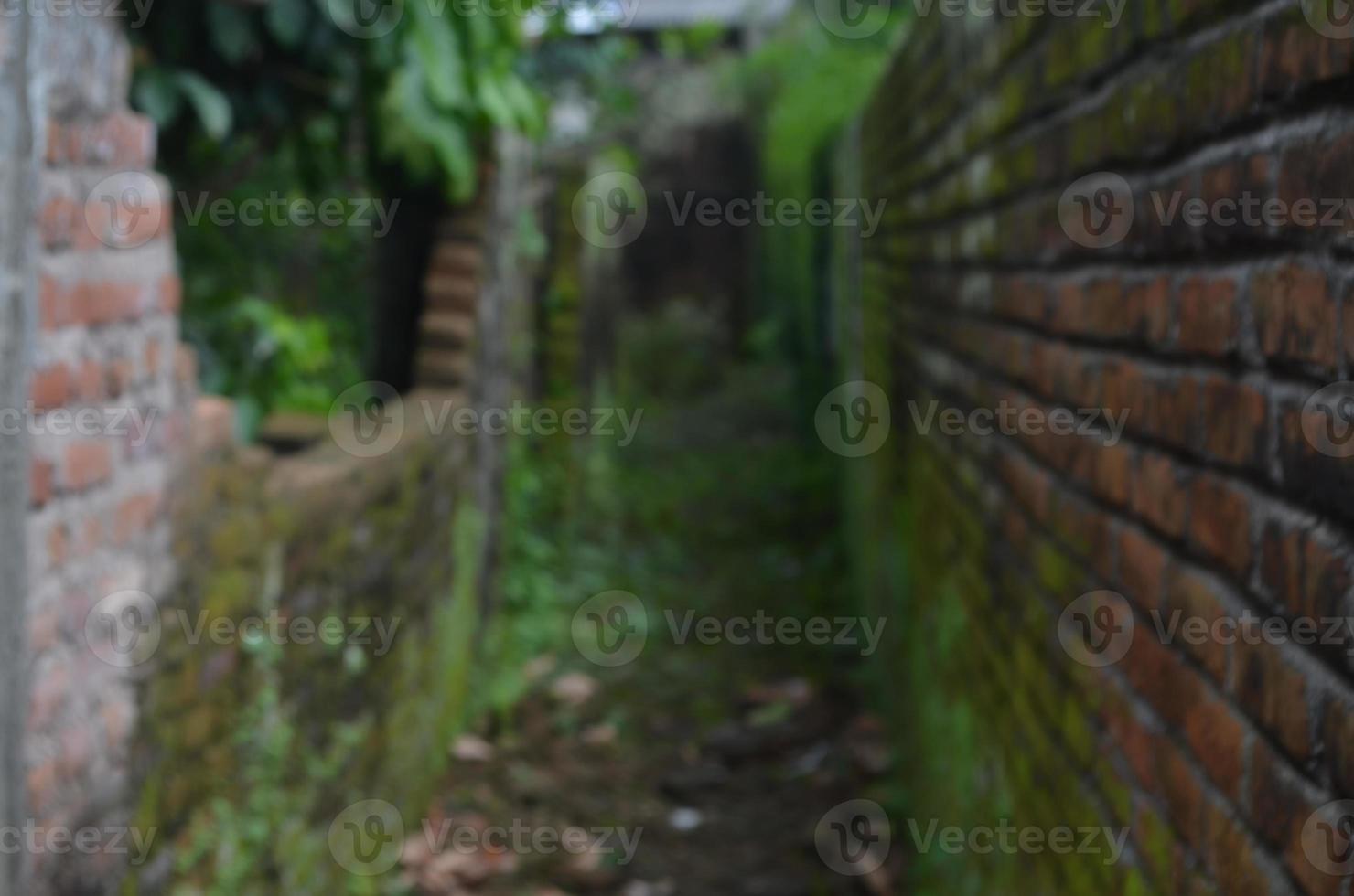 sfocato lungo corridoio con muschioso e sbriciolarsi muri foto