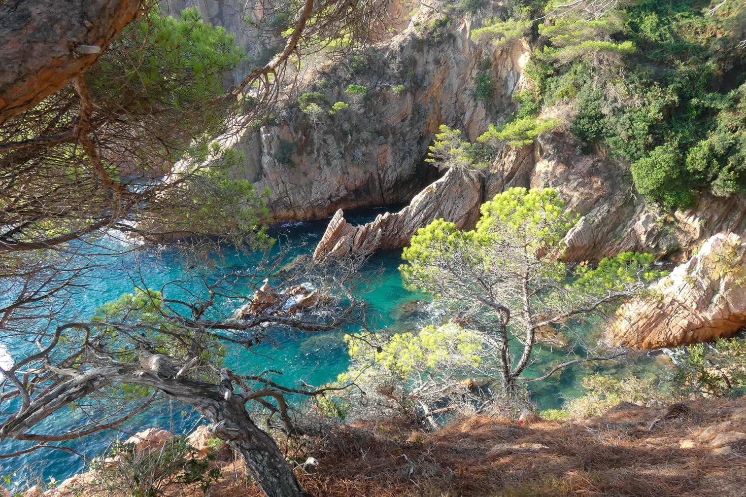 mediterraneo costa con rocce nel il catalano regione, Spagna foto