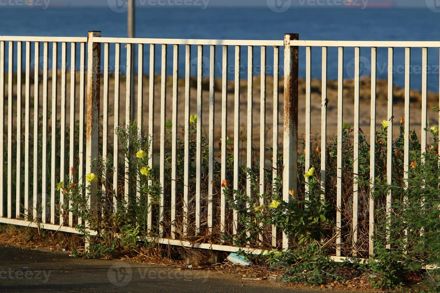 verde impianti e fiori crescere lungo il recinzione. foto