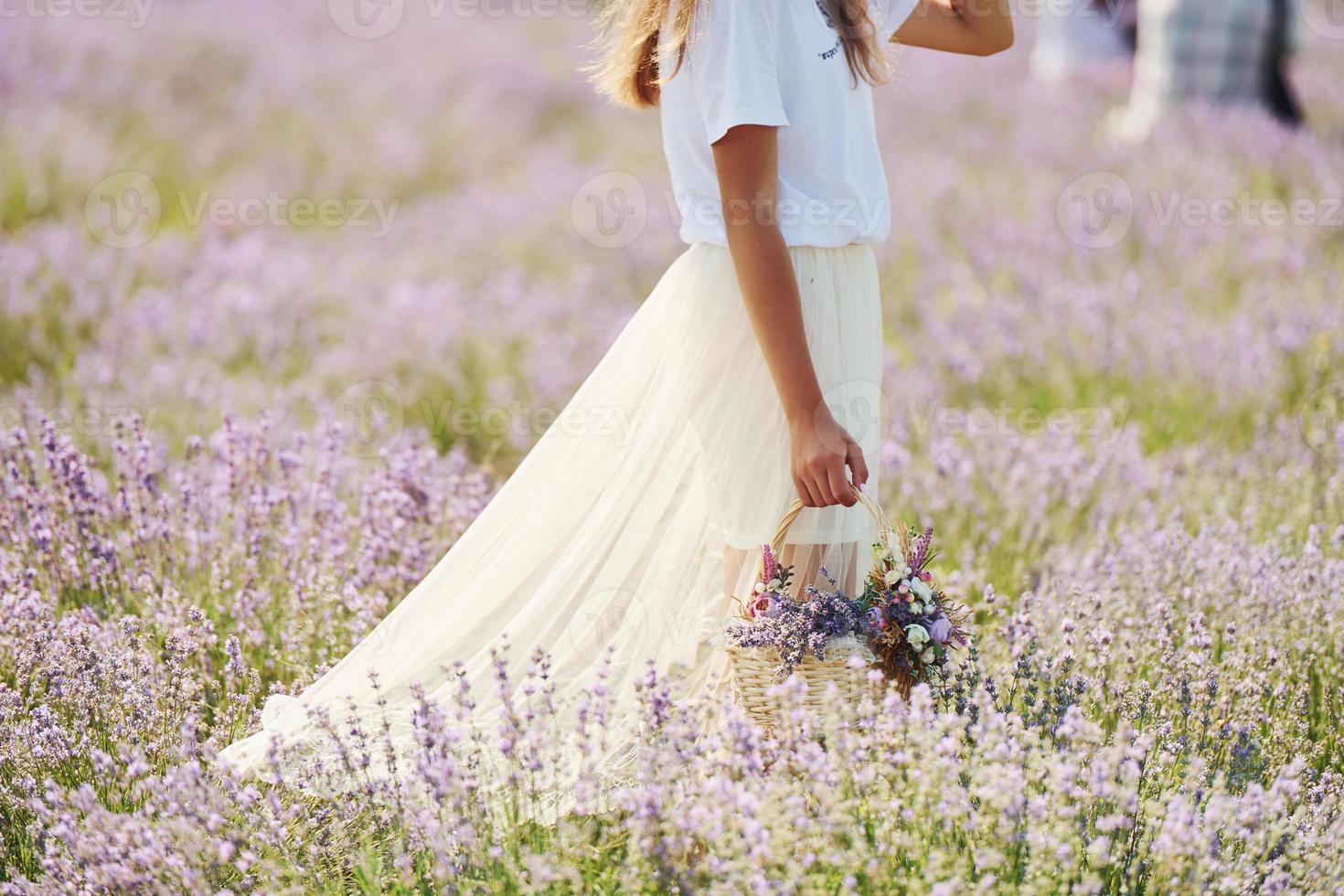 vicino su Visualizza di donna nel bellissimo bianca vestito quello utilizzando cestino per raccogliere lavanda nel il campo foto