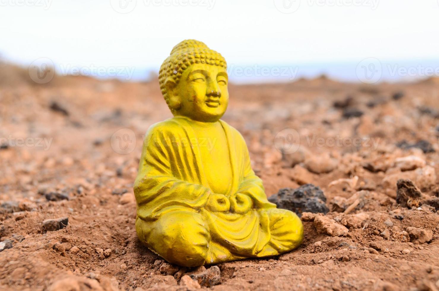 Budda miniatura su il terra foto