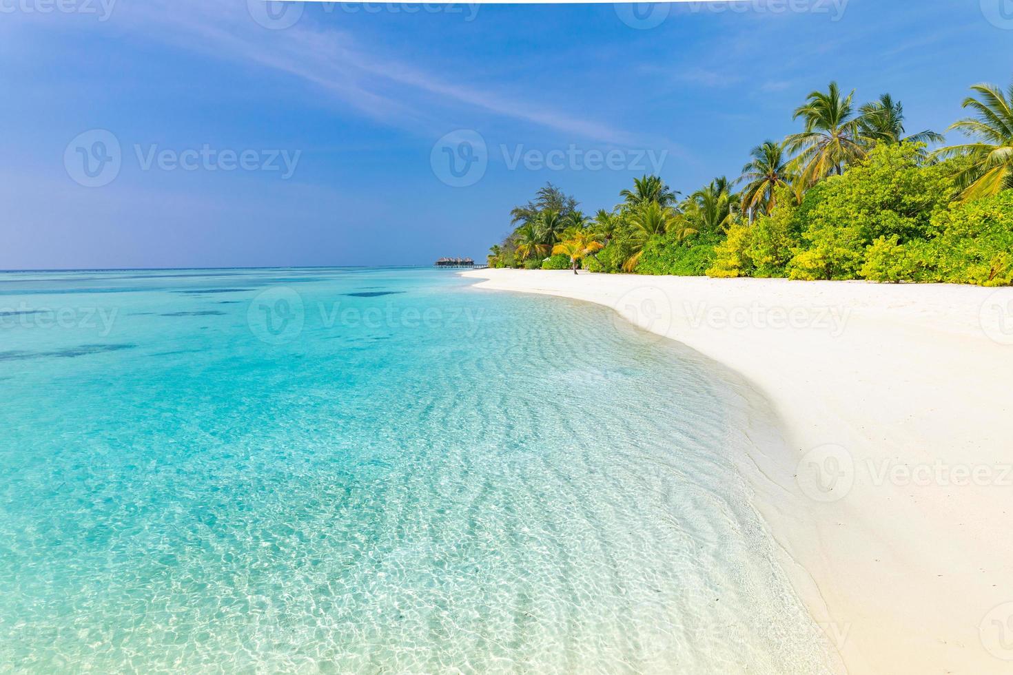 tranquillo spiaggia scenario. esotico tropicale spiaggia panorama per sfondo o sfondo. sorprendente estate paesaggio, calma mare acqua e palma alberi sotto blu cielo e bianca sabbia. vacanza e vacanza concetto foto