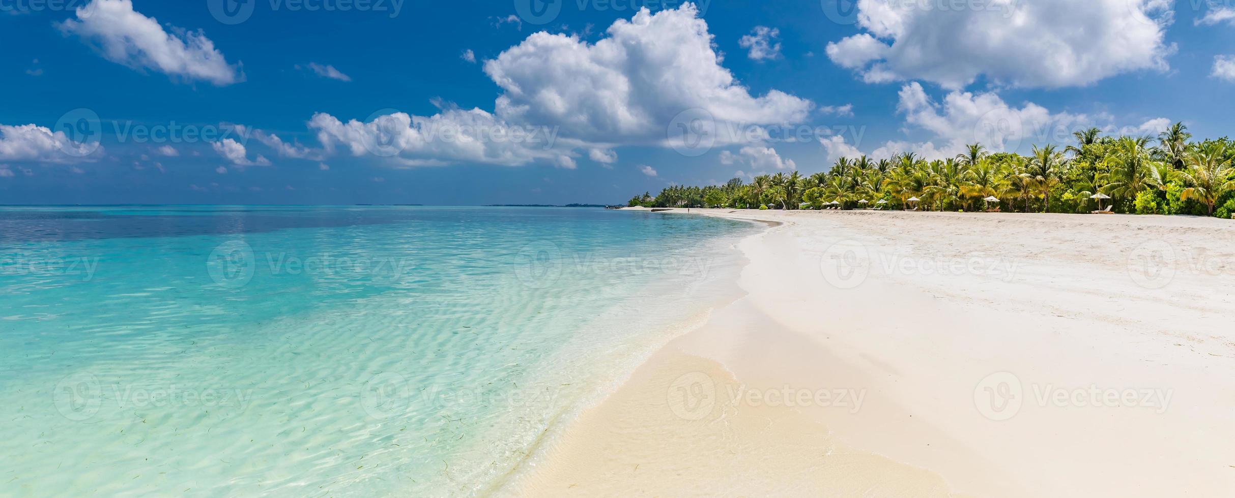 Perfetto isola, costa e paesaggio marino con calma blu mare, bianca sabbia e palma alberi sotto blu cielo. idilliaco tropicale spiaggia. soleggiato tempo metereologico su Maldive spiaggia vacanza e vacanza design. foto