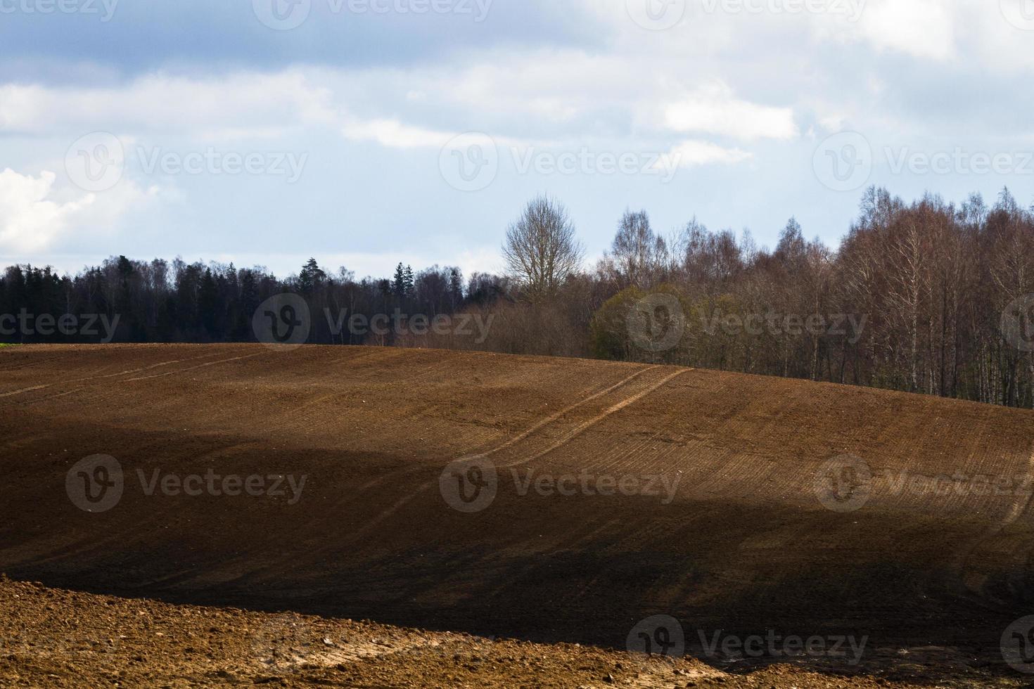 primavera paesaggi con nuvole foto