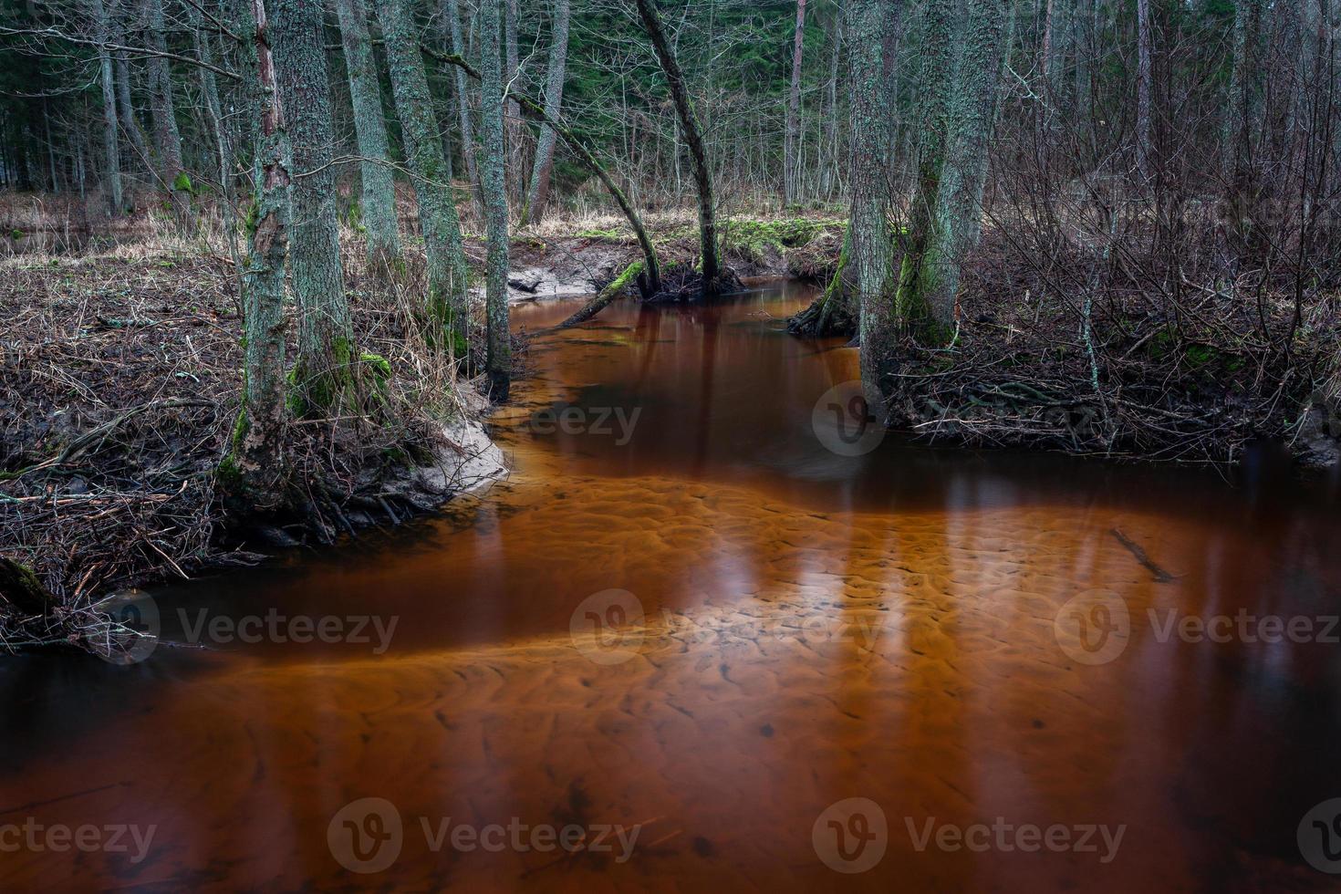 piccolo foresta fiume foto