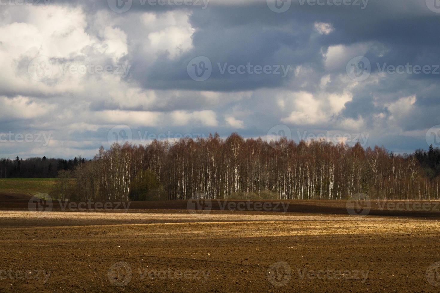 primavera paesaggi con nuvole foto