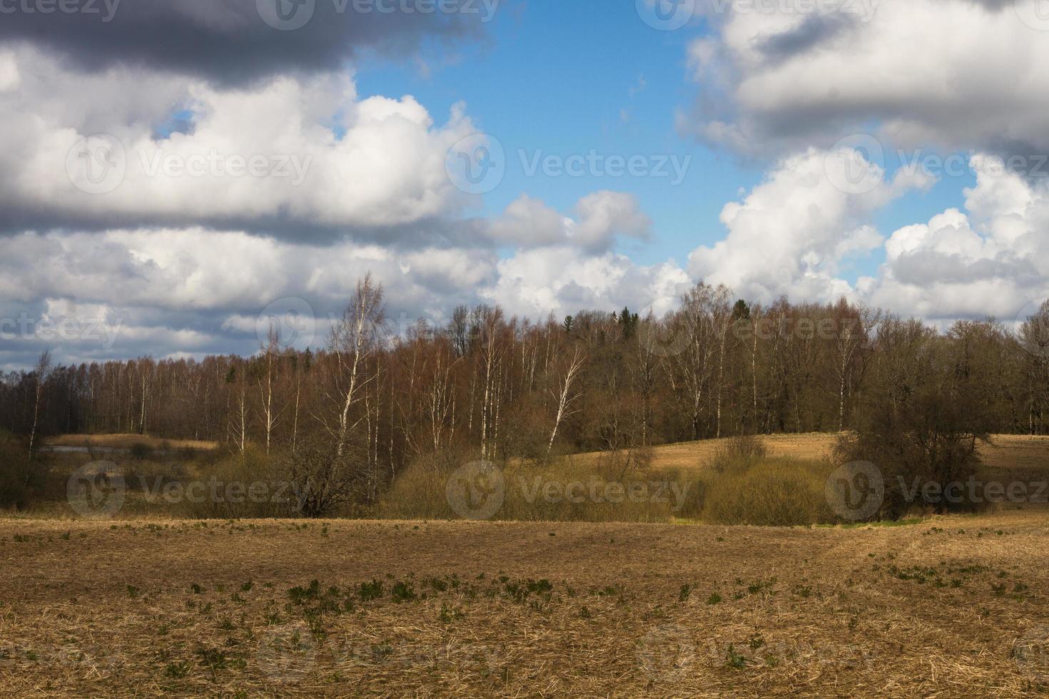 primavera paesaggi con nuvole foto